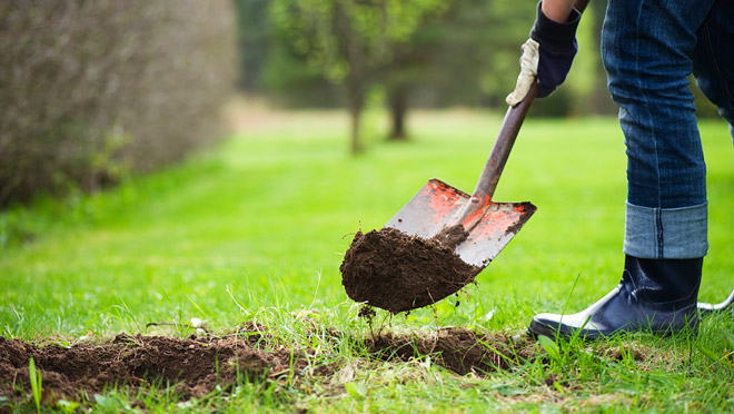 Image of a person digging in a yard Image of a person digging in a yard